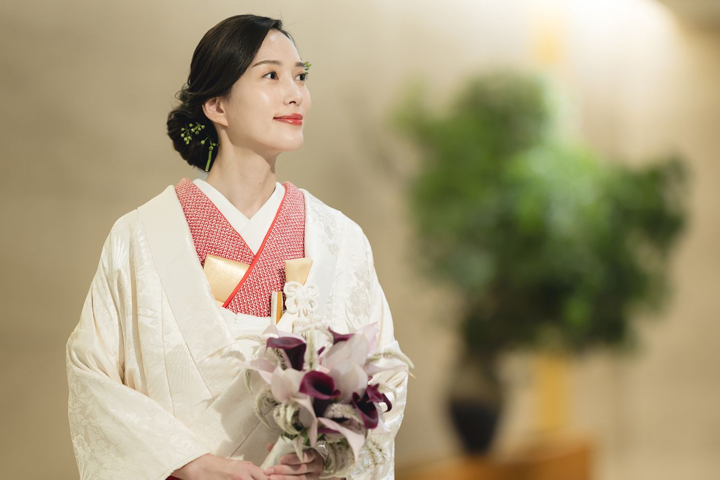 曙の間のビジュアル